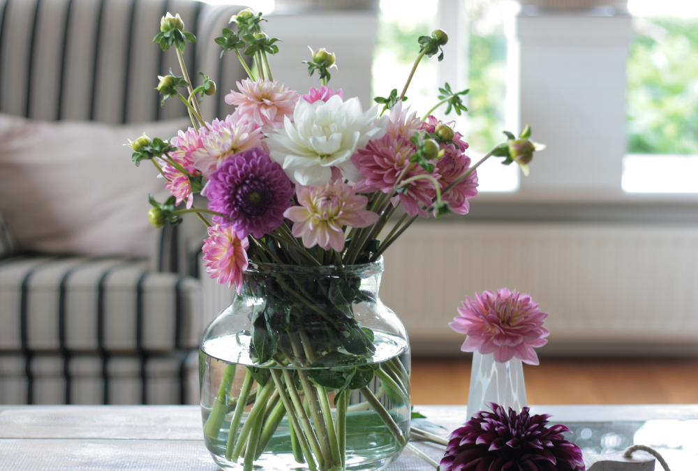 How to keep cut flowers fresh?