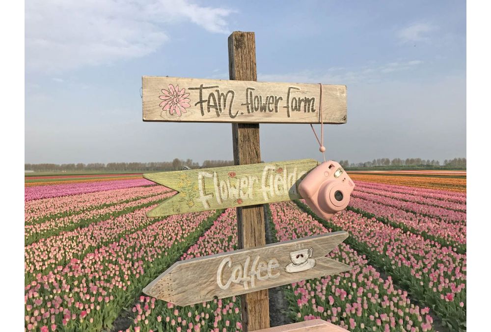 The best places to stay in Lisse