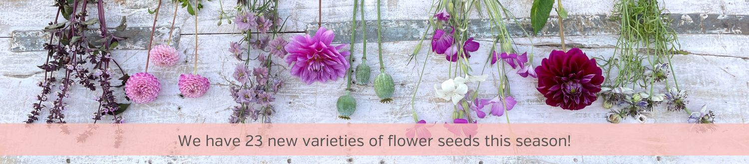 Flower seeds