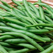 Green Bean Prelude