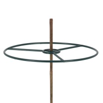 Plant ring bamboo sticks set of 2
