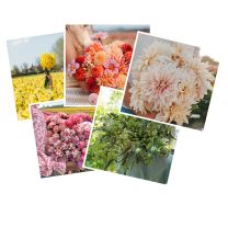 5 x greeting card
