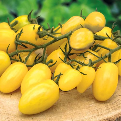 Snack Tomato Dattolime F1