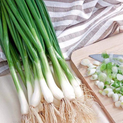 Bunching Onion White Lisbon