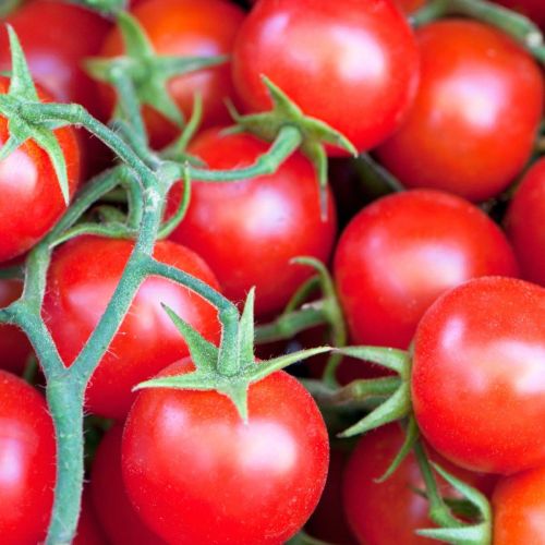 Cherry Tomato Sweetie