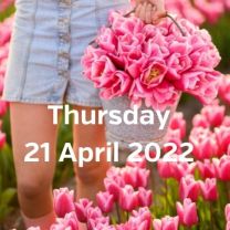 Visit tulip fields 21 april 2022