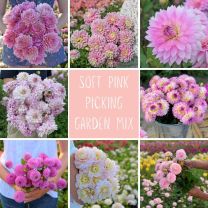 Mix Picking Garden Soft Pink