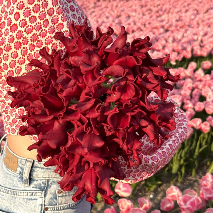 Tulip red dress discount