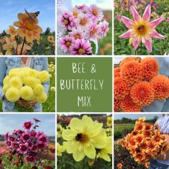 Mix Bees and butterflies