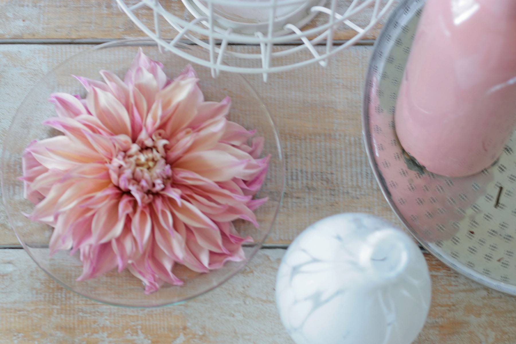 dahlia cafe au lait